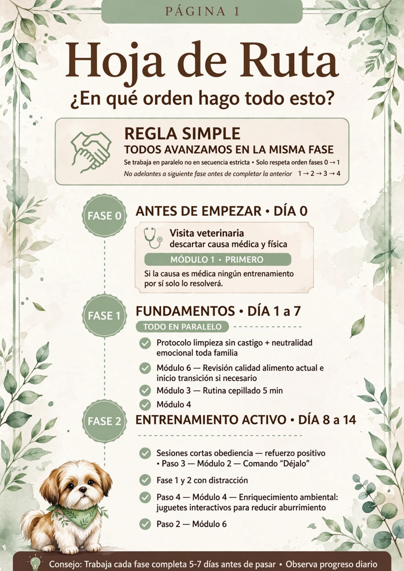 Nueva Hoja de Ruta Semanal