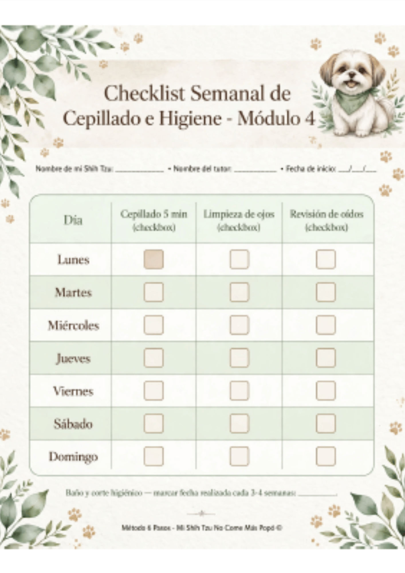 7 Plantillas de Seguimiento